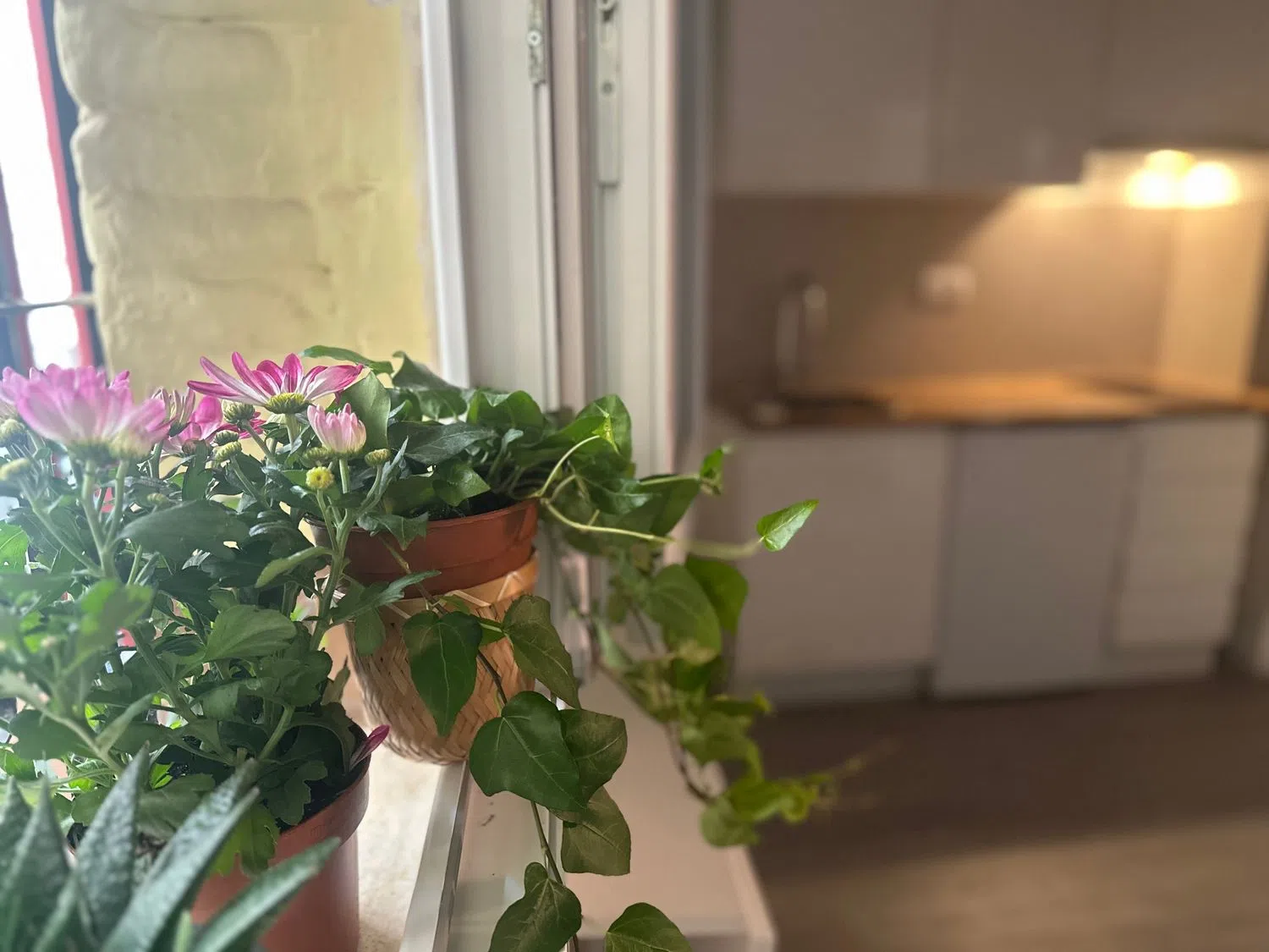 Piso en calle de la Sierra de los Filabres, 37 - Foto 15