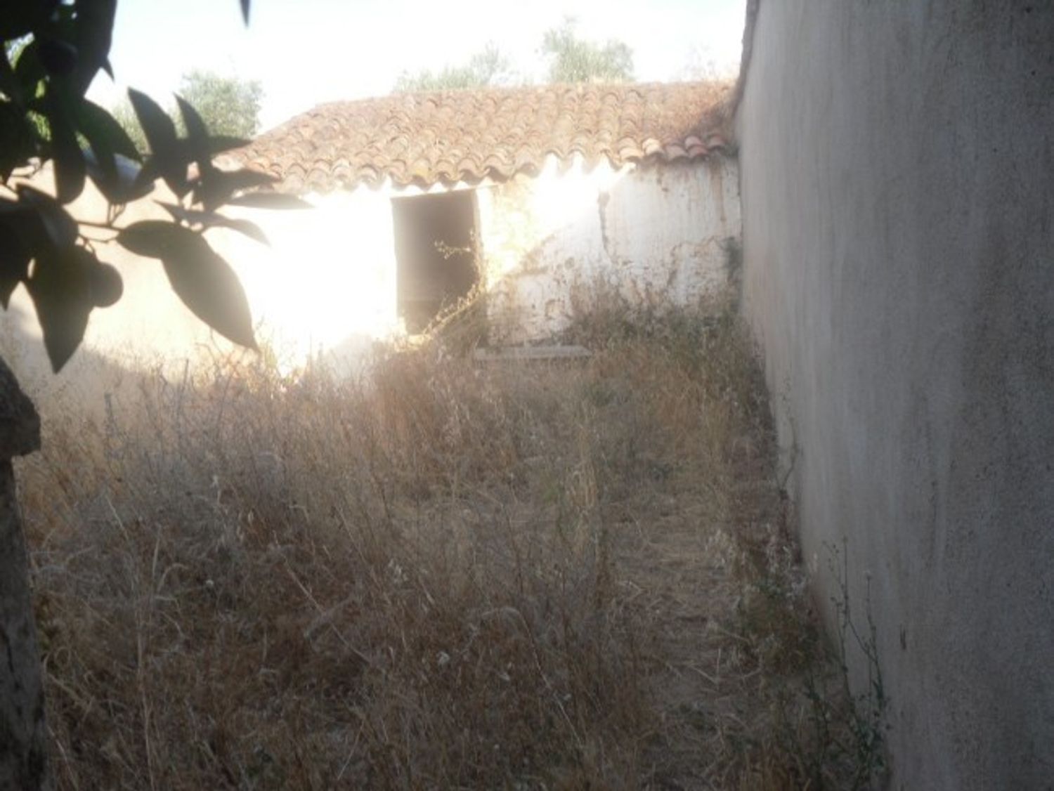 Chalet adosado en Calle Viriato, 36 - Foto 4