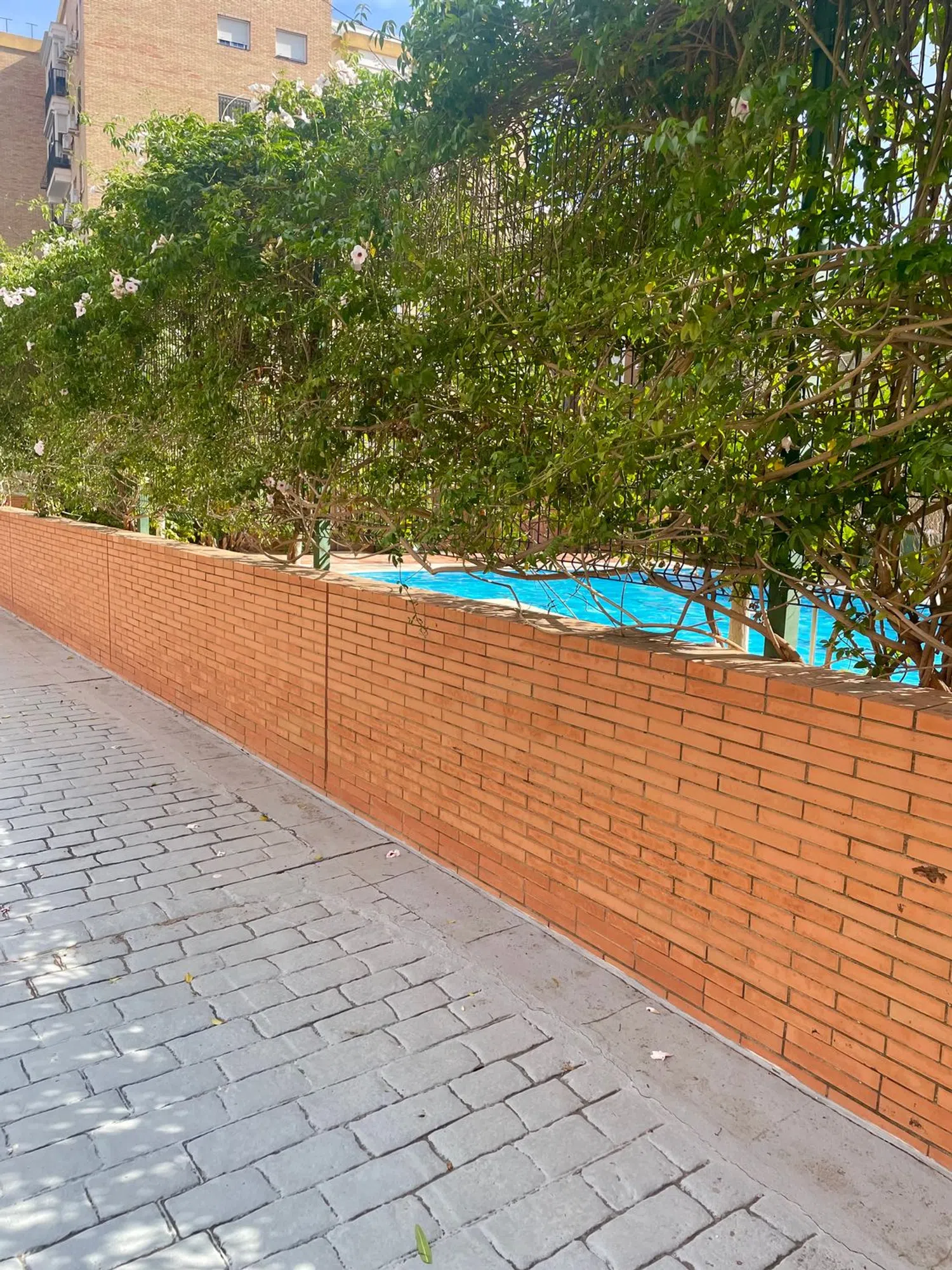 Piso en Cardenal Bueno Monreal, 33 - Foto 5
