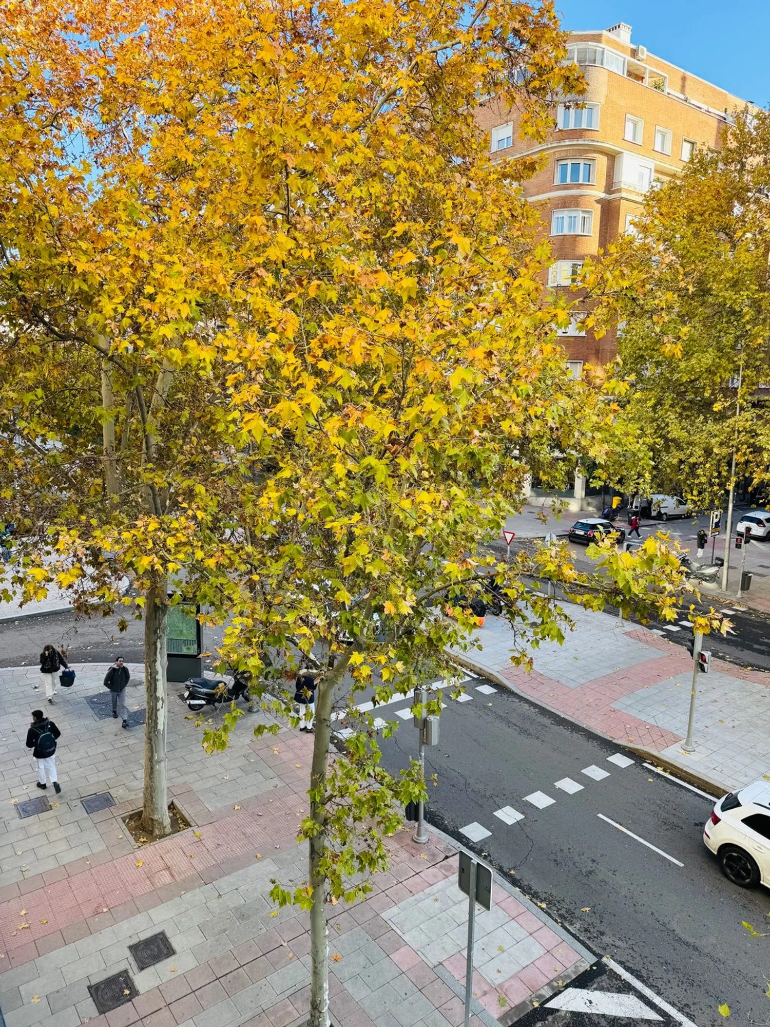 Piso en calle de Cea Bermúdez, 66 - Foto 26