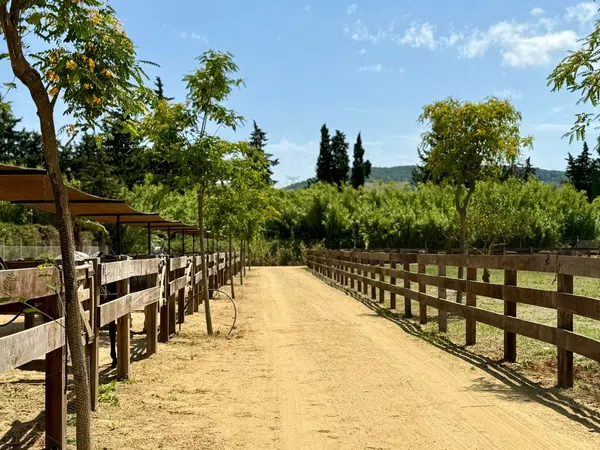 Cortijo en Cortijo en Ca-8200, 8200 Ca-8200 - Foto 10