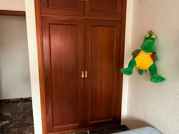 Piso en Avenida del Sur, 17, Los Pajaritos - Foto 34