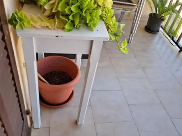 Piso en  Carrer Jovent 9 - Foto 6
