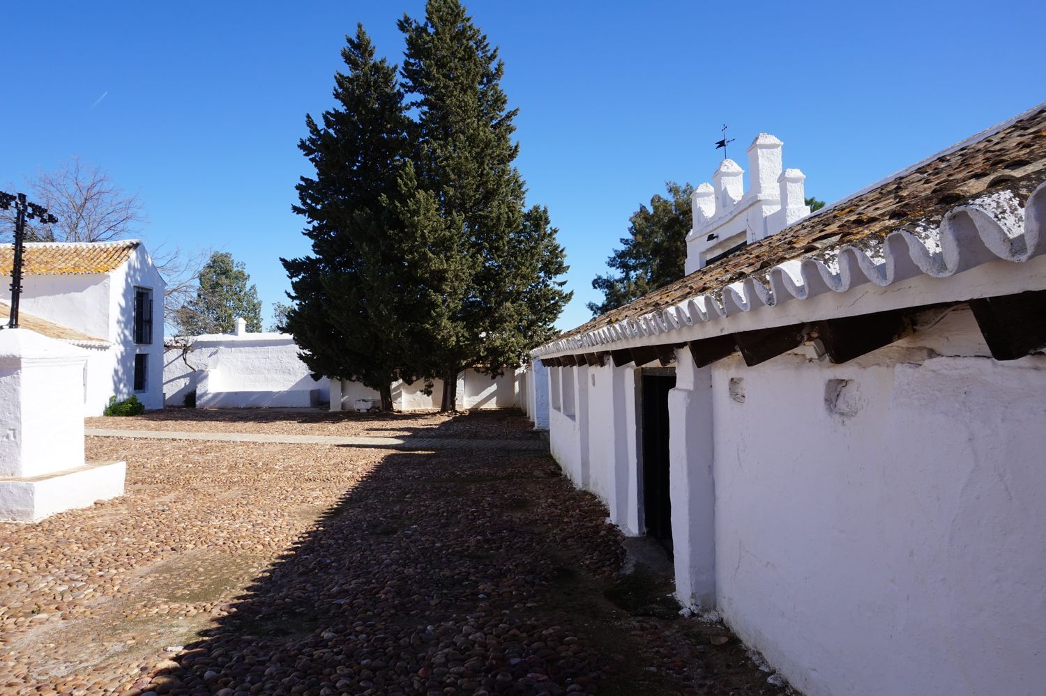 Cortijo en Cortijo en Carretera Mairena del Alcor, Brenes, 4 Km - Foto 7