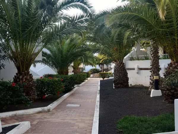 Piso en Calle las Adelfas, 3, Costa Teguise, Costa Teguise - Foto 21