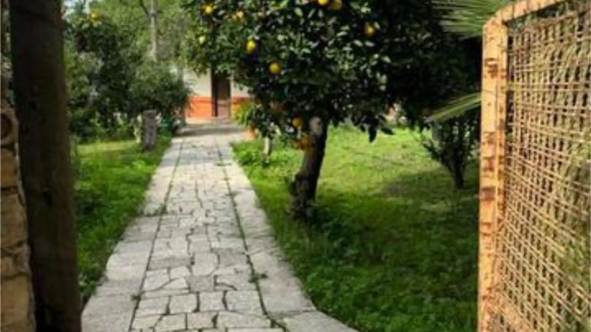 Chalet en Aeropuerto Viejo - Foto 4