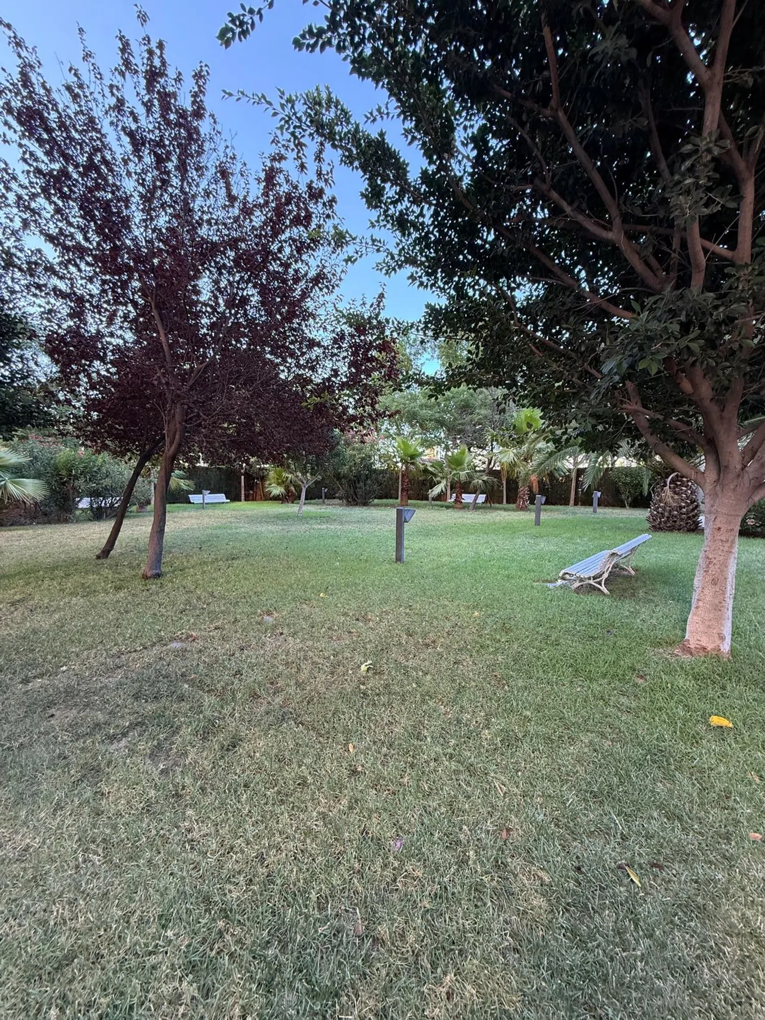 Piso en avenida del Professor López Piñero, 10 - Foto 30
