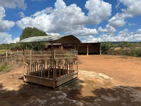 Finca rústica en Camino de Son Rubí o Son Perdiuet, 31 - Foto 23