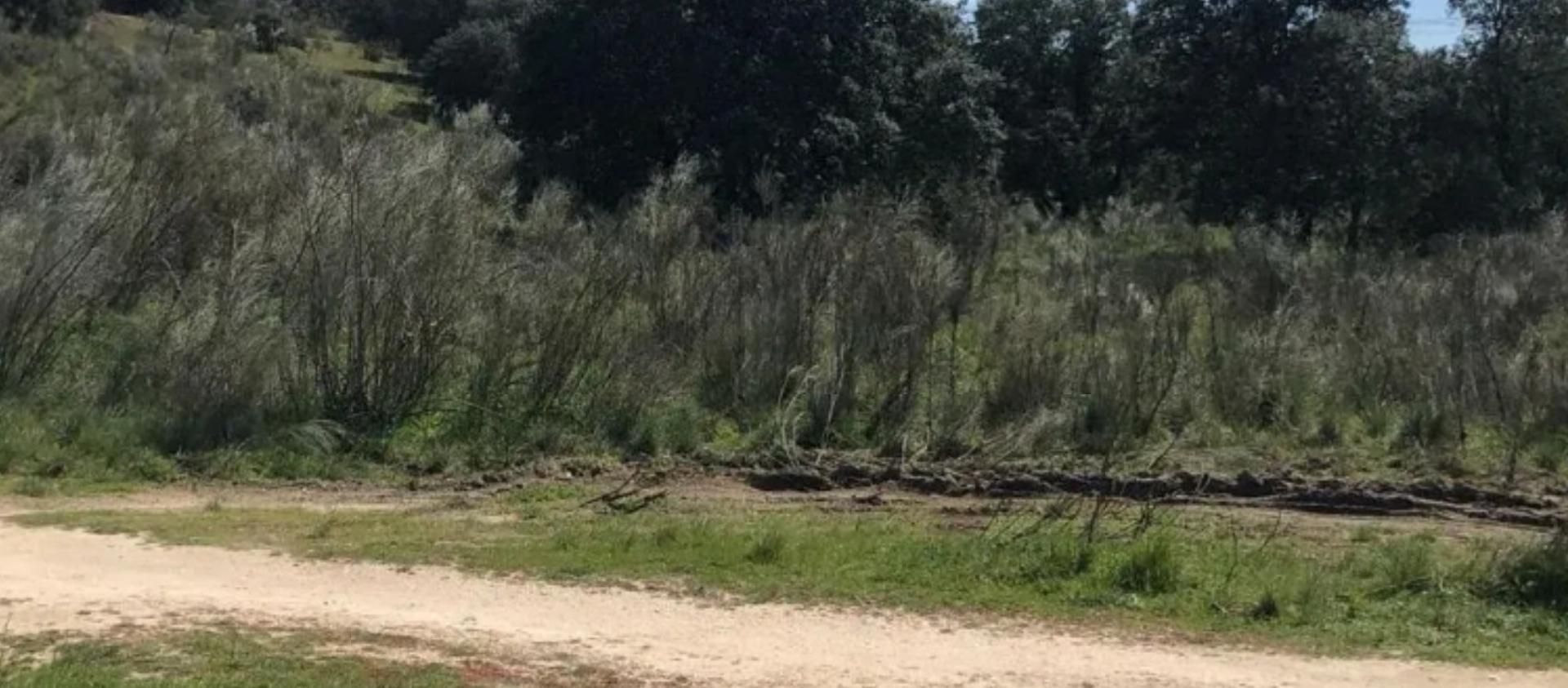 Finca rústica en  M-505 10 - Foto 4