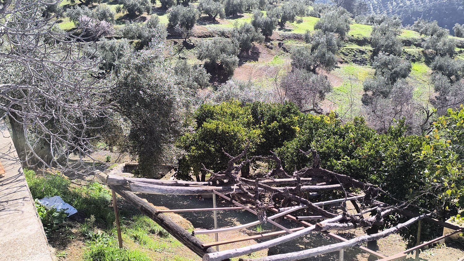Cortijo en Via Sin Nombre s/n - Foto 26