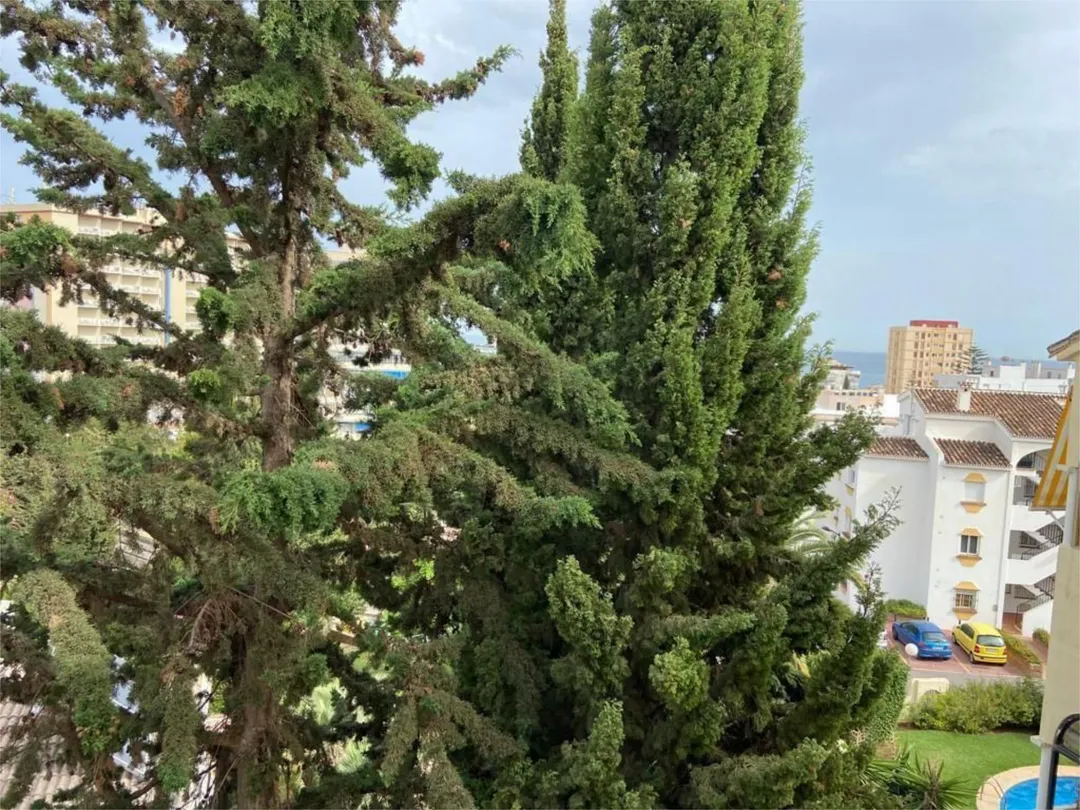 Piso en  Calle los Helechos 6 - Foto 15