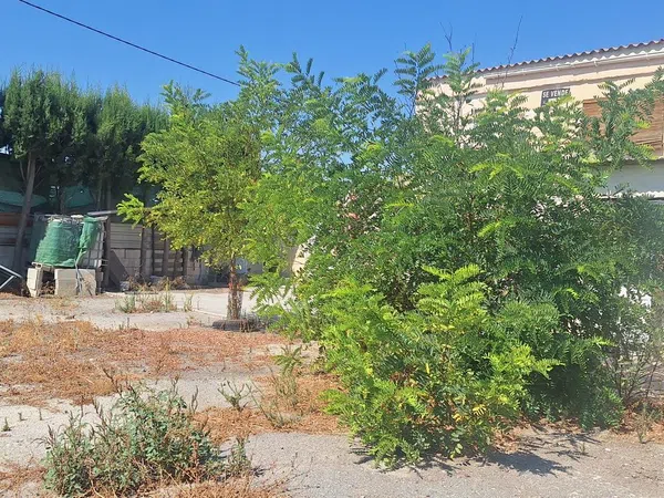 Casa o chalet independiente en Camino polígono 9, parcela, 173, Ronda - Arabial - Foto 4