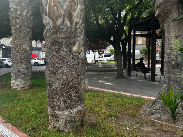 Piso en Calle de la Diagonal, 23, Carrús Este - Foto 26