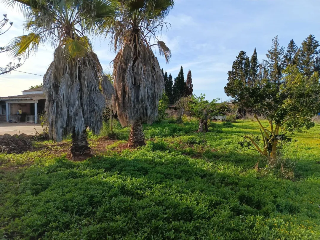 Finca rústica en  Camí Vell de Cala Pi 41 - Foto 10