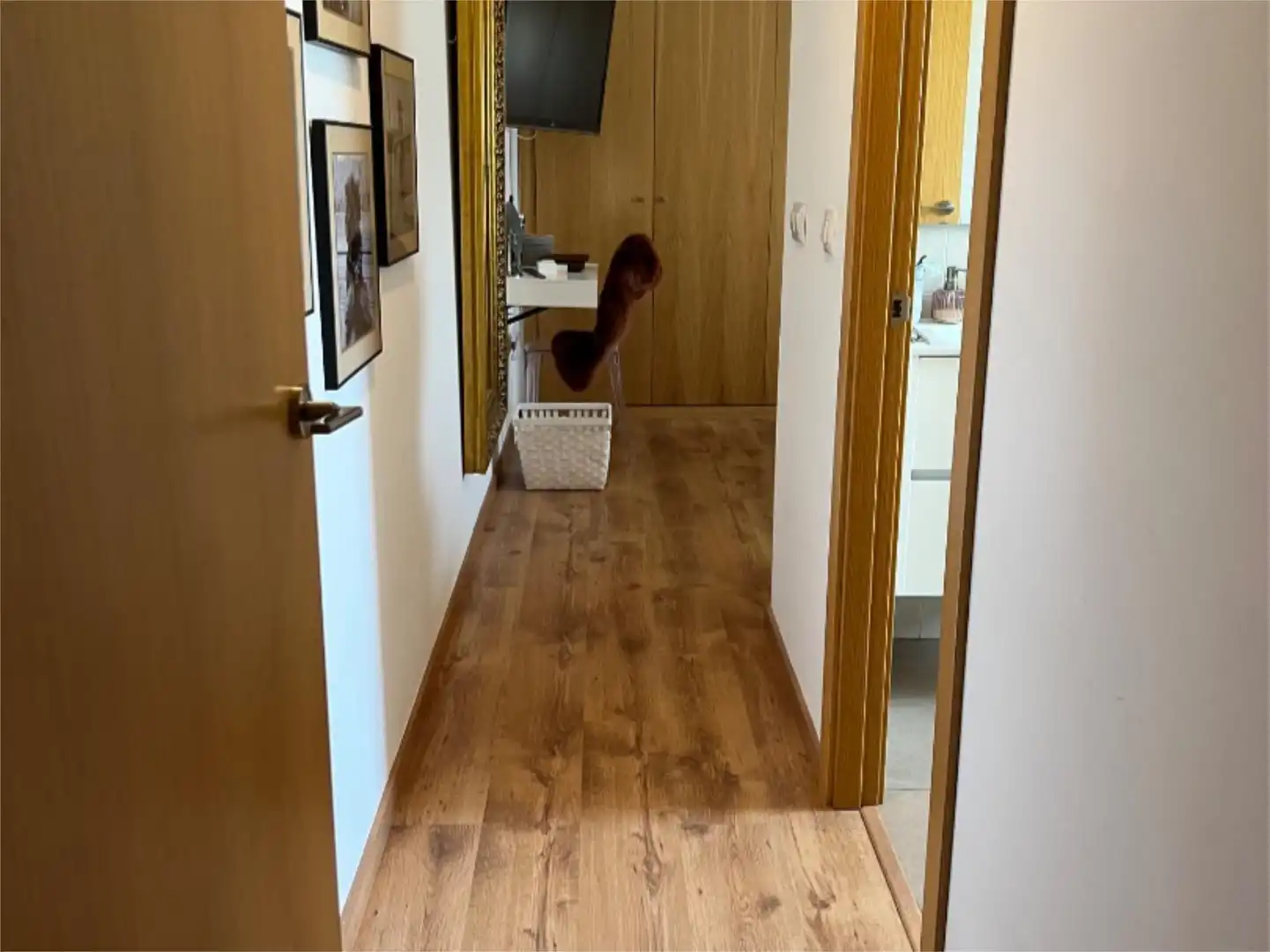 Piso en  Calle Diputado Ignacio Gallego 14 - Foto 6