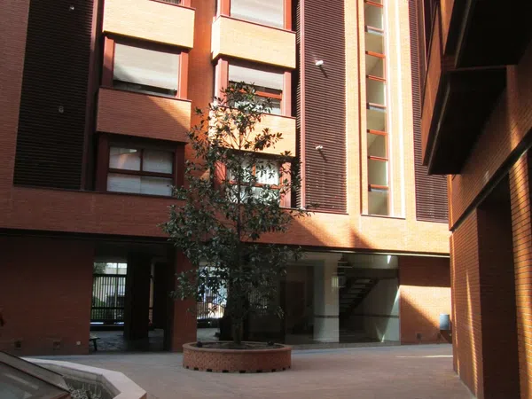 Piso en Calle de Josep Pla, 20, Ciudad Jardín - Foto 2