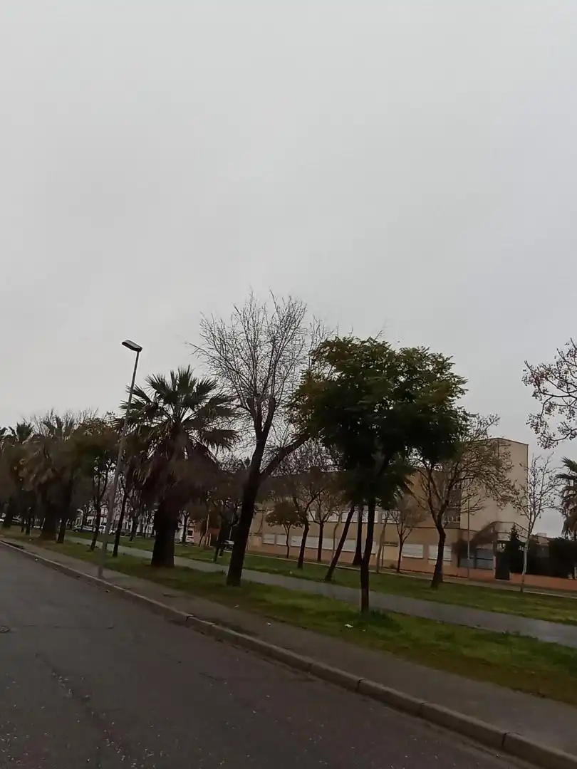 Finca rústica en  Calle Álvarez Quintero 166 - Foto 6