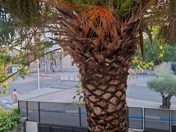 Alquiler de ático en Calle Martín Iriarte, 21 - Foto 9