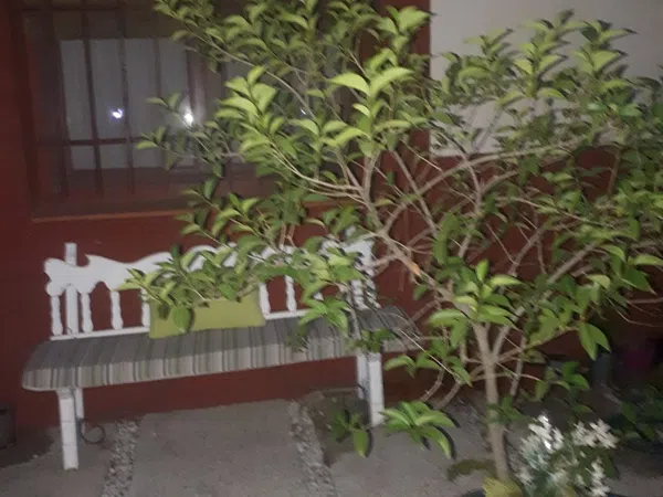 Piso en calle siglo futuro, 7 - Foto 16