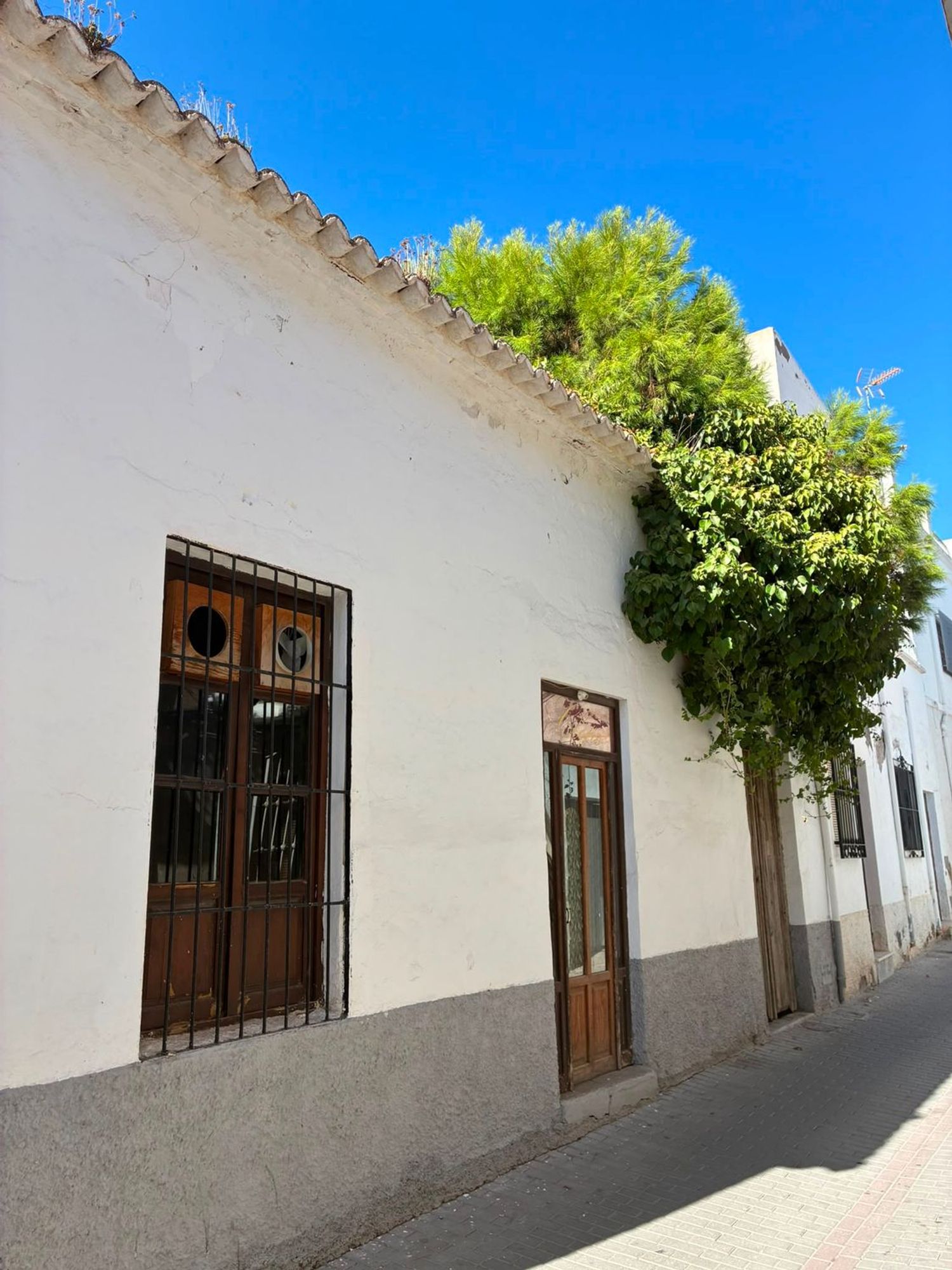 Casa o chalet independiente en Calle Practicante Antonio Rubio, 8 - Foto 9