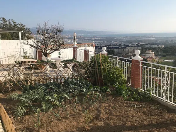 Casa rural en Pasaje de la Sierra, 10, Cortijo de Maza-Finca Monsalvez-El Olivar - Foto 3