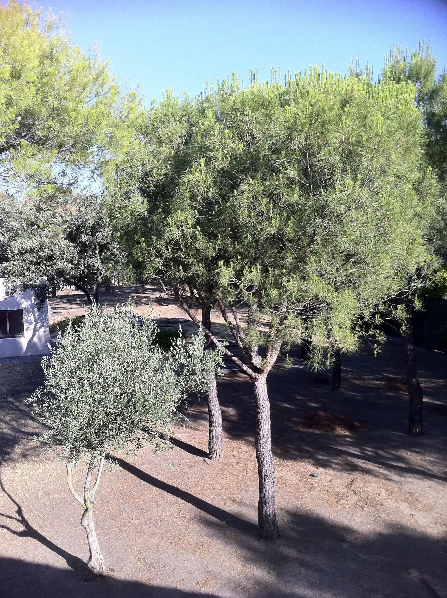 Casa independiente en Urb. guadamonte Raya del Palancar - Guadamonte - Foto 15