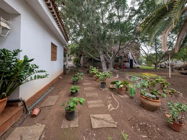 Casa o chalet independiente en Lugar Fuente Morales, 3, Tafira - Foto 21