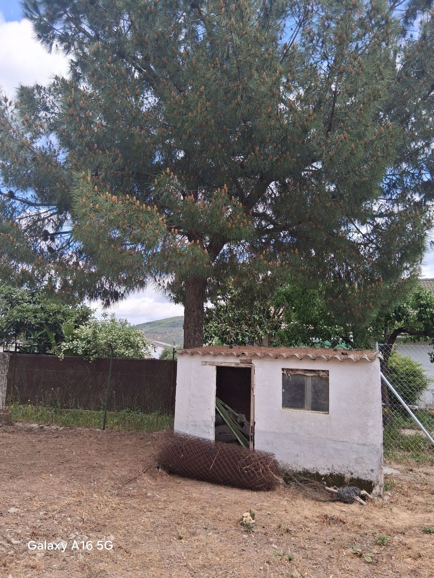 Casa o chalet independiente en Ex-382, 11 - Foto 13