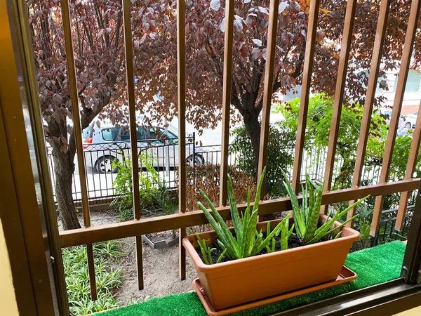 Estudio en calle de Gil Imón, 8