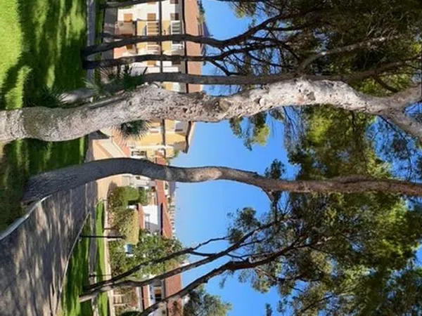 Piso en Guadalquivir, 141, Mil Palmeras, Mil Palmeras - Foto 14