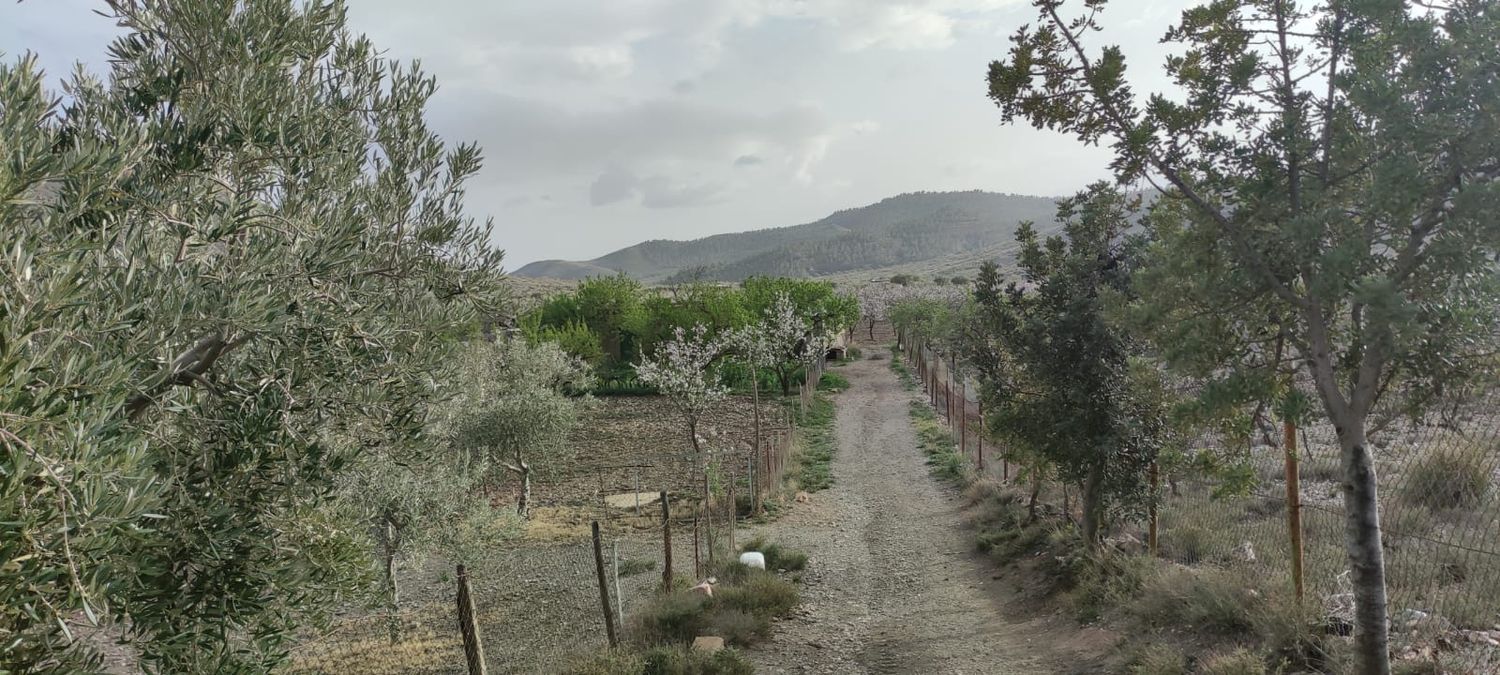 Cortijo en Cortijo en A-1178 s/n - Foto 29