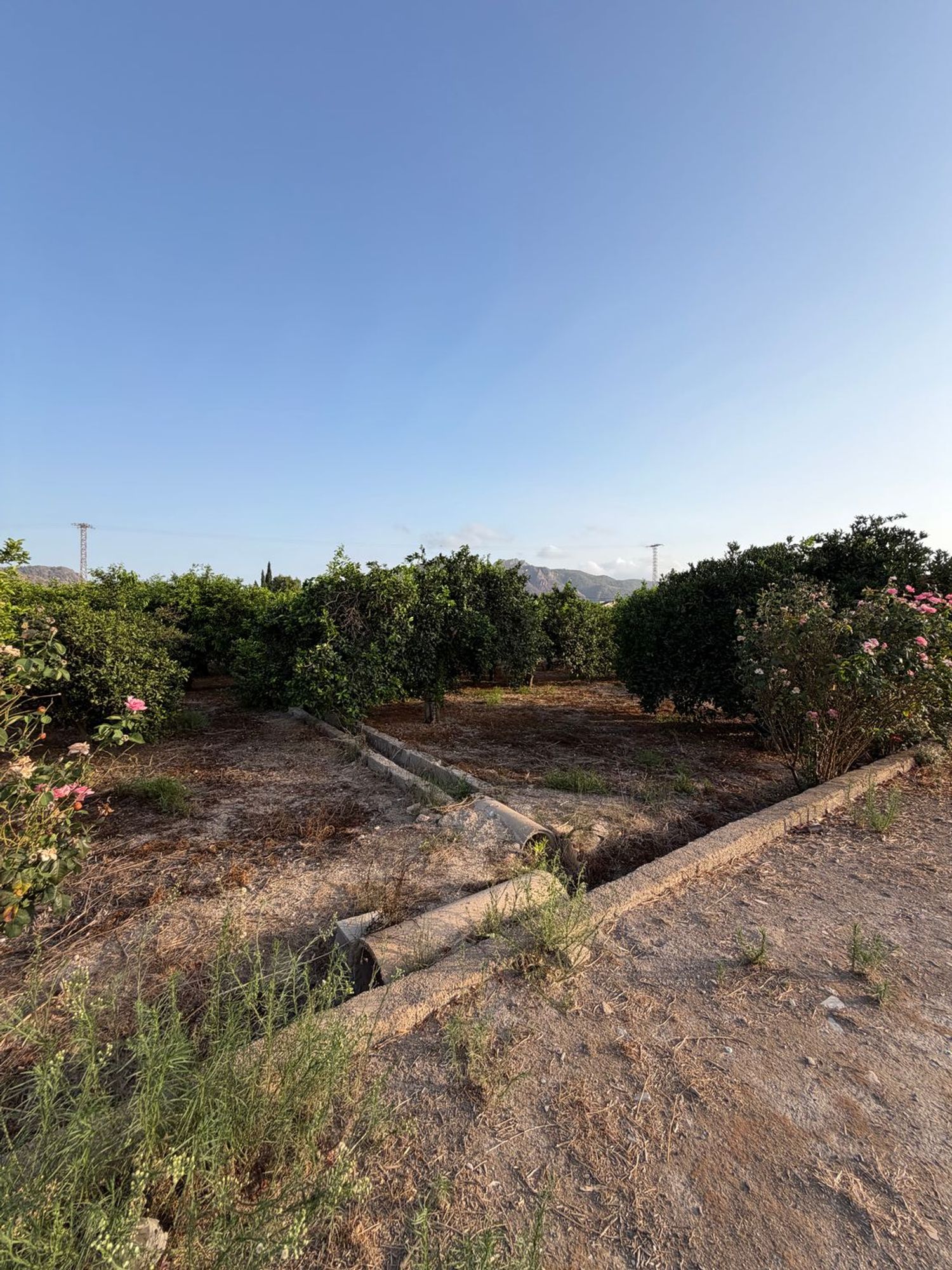Finca rústica en Camino de los Plazas, 16, San José de la Vega - Foto 38