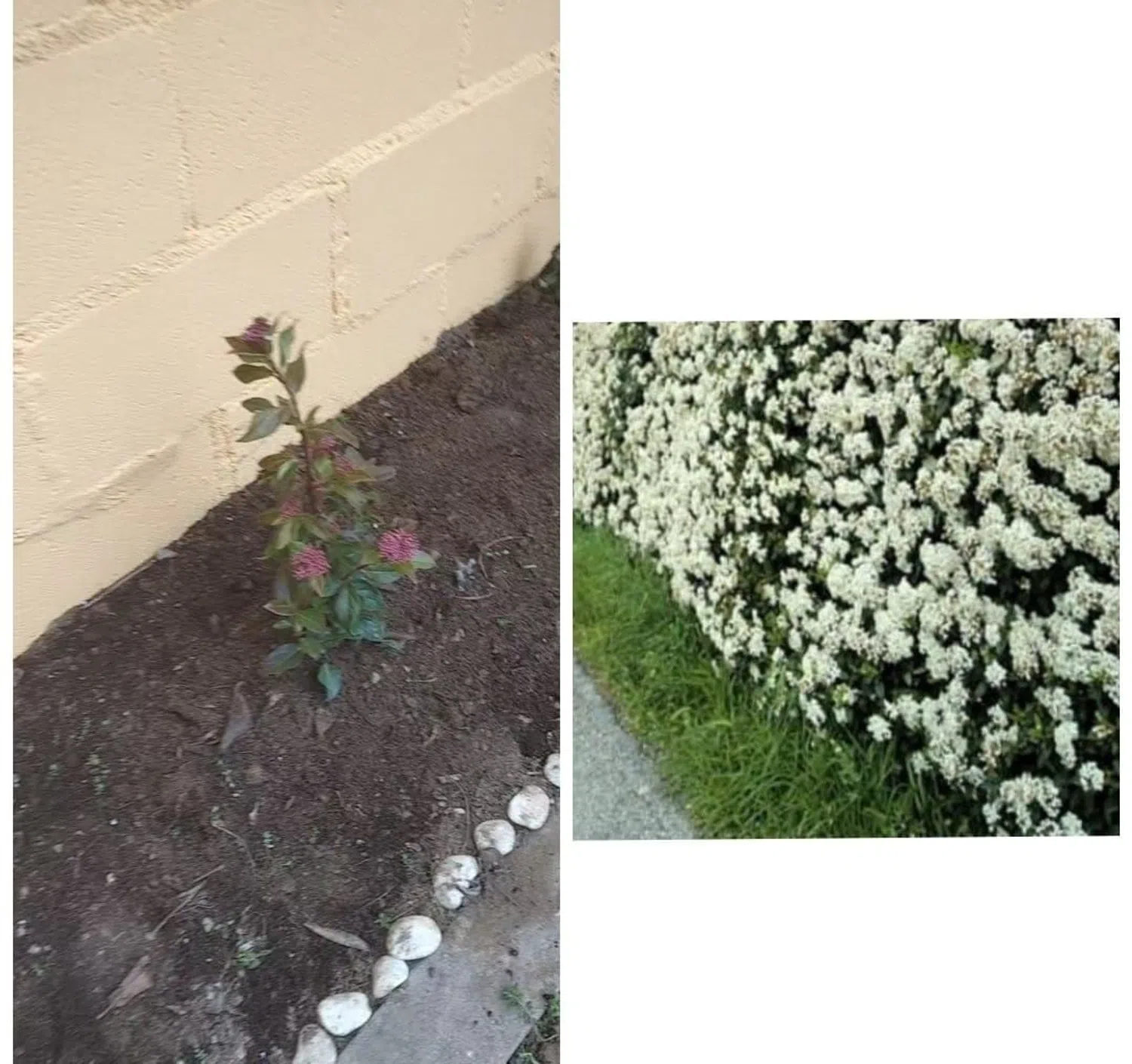 Piso en calle Vicente Beltrán de Heredia, 58 - Foto 16