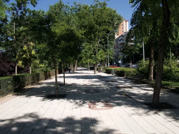 Piso en Paseo del Pintor Rosales - Foto 2