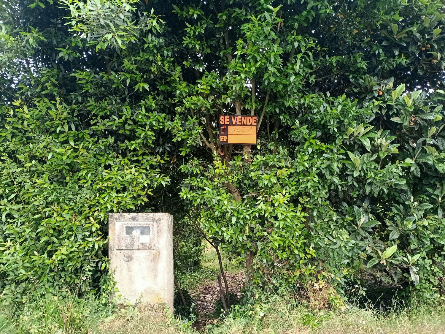 Finca rústica en Lugar Veiga, 5 - Foto 12