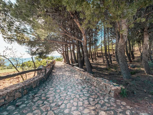 Cortijo en Pista Forestal Felix s/n - Foto 23