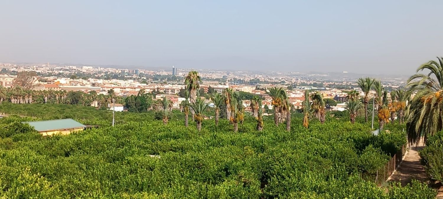 Finca rústica en calle Don Adrián, 1506 - Foto 13