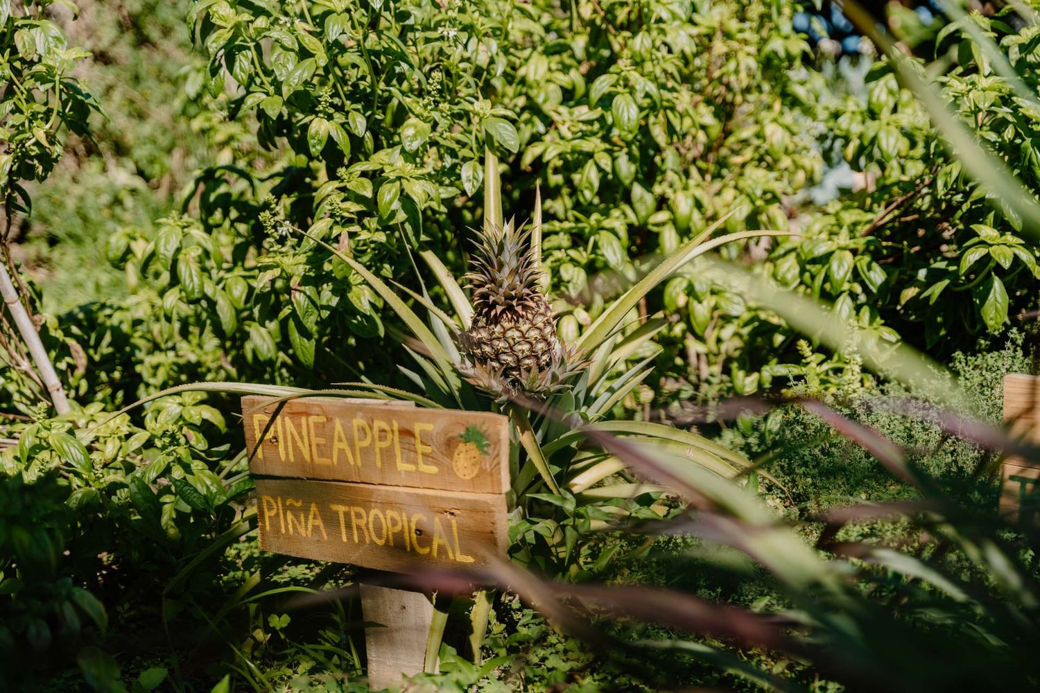 Casa rural en camino Carril, 39 - Foto 14