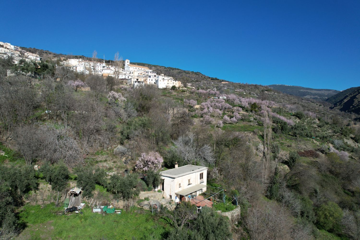 Cortijo en Calle San Pedro, 13 - Foto 3