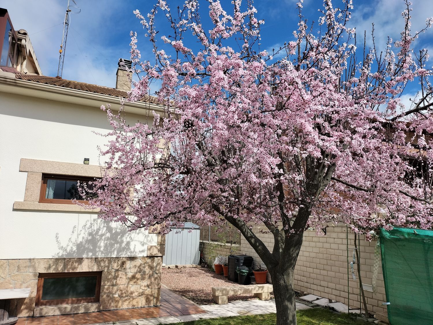 Casa o chalet independiente en Calle Haití, 5 - Foto 25