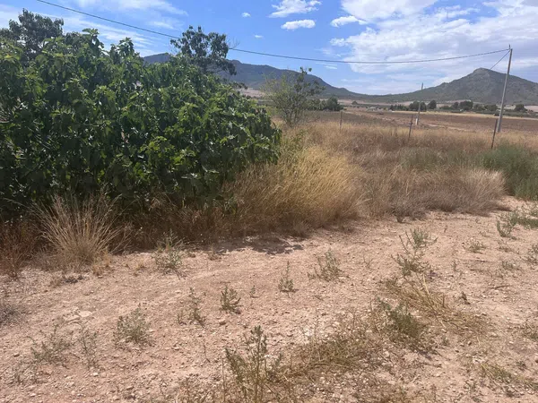 Finca rústica en N/a s/n - Foto 5