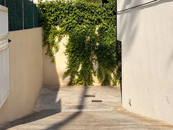 Chalet adosado en Calle Ginebró, 433, Playa de Muro, Playa de Muro - Foto 32