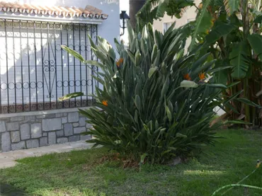 Chalet en  Calle Don Diego de Miranda 6 - Foto 14