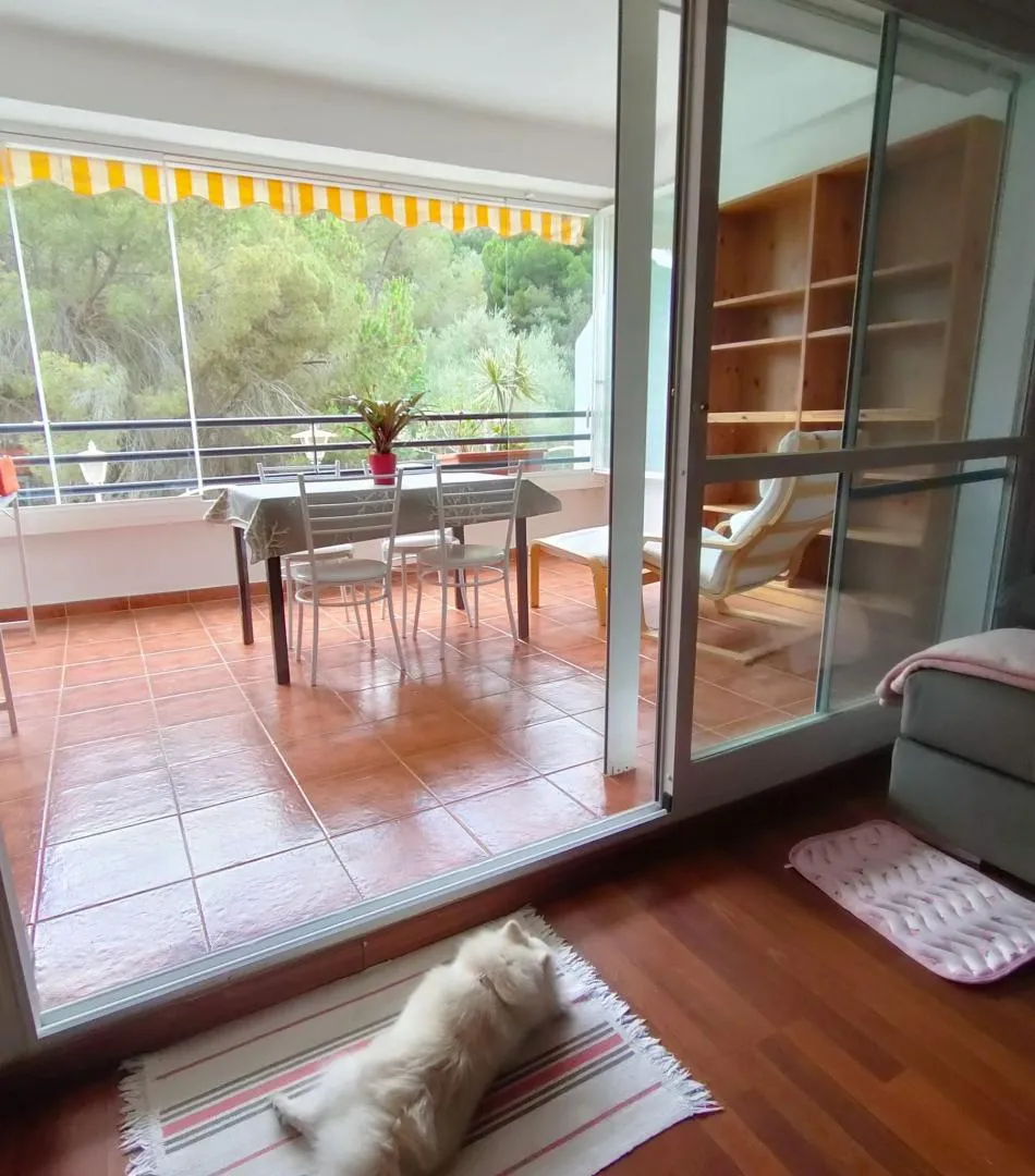 Casa adosada en  Calle e Ramos de Sierrezuela 42 - Foto 16