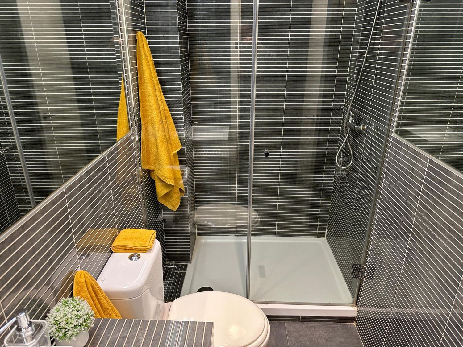 Estudio en Avenida Cayetano del Toro, 23, Zona Laguna, Zona Laguna - Foto 11