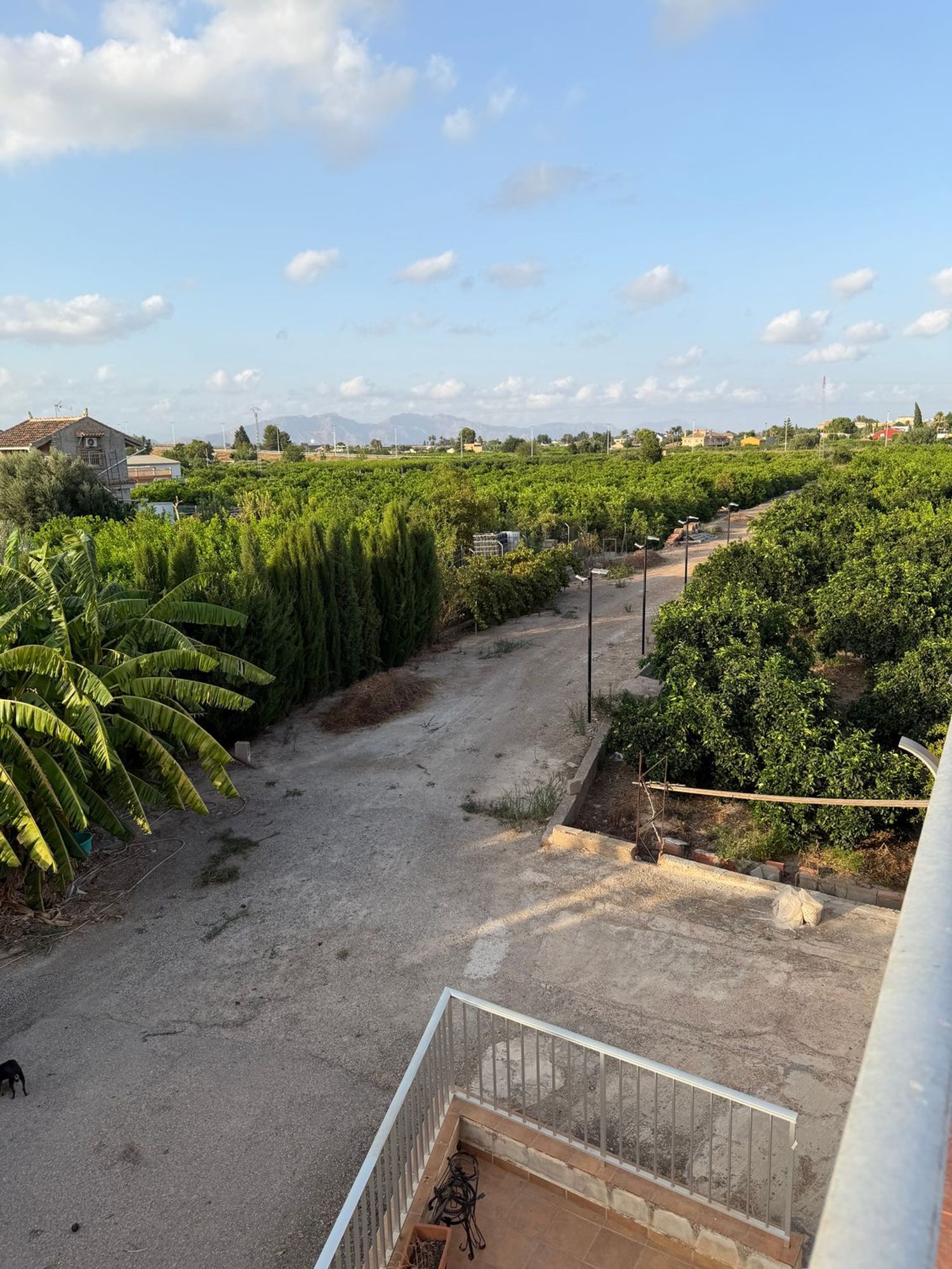Finca rústica en Camino de los Plazas, 16, San José de la Vega - Foto 21