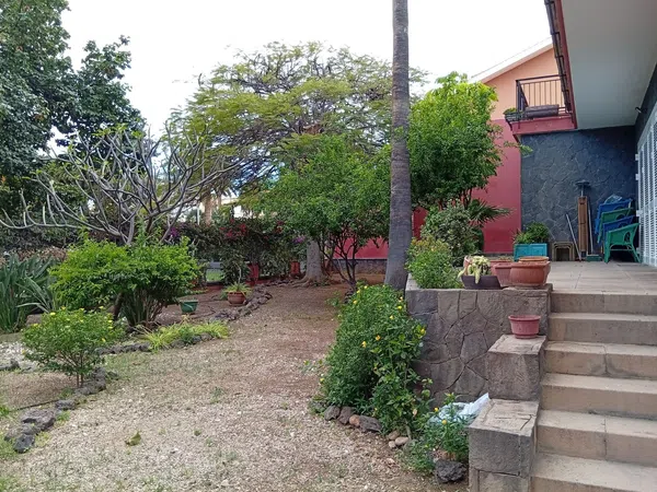 Casa o chalet independiente en Avenida de Benito Pérez Armas, 41 - Foto 34