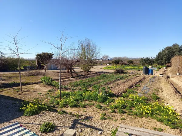 Finca rústica en plaza de Sant Isidre, 15 - Foto 23