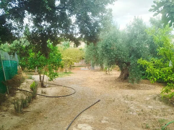 Casa de pueblo en Calle Río Beiro, 63, Aljomahima - Ermita, Aljomahima - Ermita - Foto 15