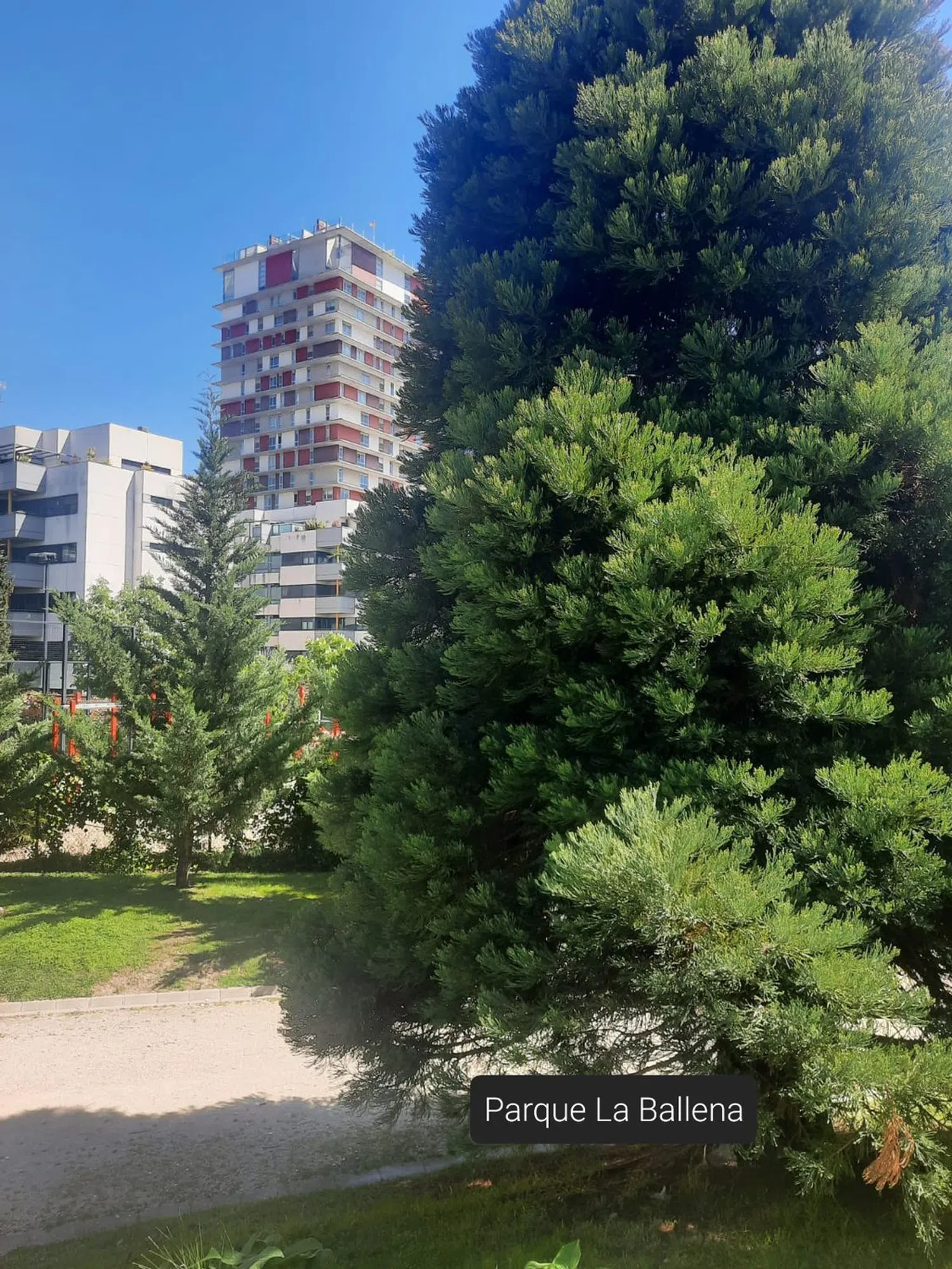 Piso en calle de Dulce Chacón, 33 - Foto 38